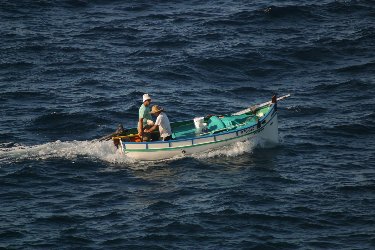 Sea fishing