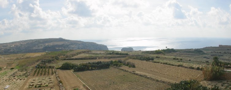 View from the patio